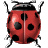 ladybug.png icon